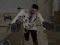 Hra Residence of Evil: Quarantine online