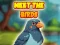 Hra Meet The Birds online