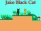 Hra Jake Black Cat online