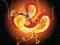 Hra Chinese Dragons Coloring online