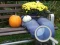 Hra Autumn Garden Find 100 butterflies online