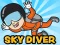 Hra Skydiver online