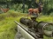 Hra Stag Hunt online