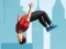 Hra Flip Master online