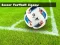 Hra Soccer Football Jigsaw online