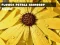 Hra Flower Petals Raindrop Jigsaw online