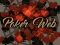Hra Poker Web online