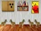 Hra Dog Room Escape online