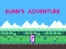 Hra Bunn's Adventure online