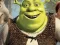 Hra Shrek Jigsaw Puzzle Collection online