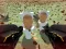 Hra Shooting Survival Skibidi Toilet online