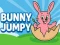 Hra Bunny Jumpy online