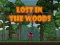 Hra Lost in the Woods online