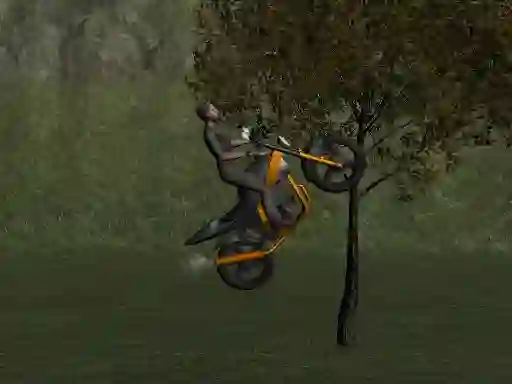Hra Mountain Bike Rider online
