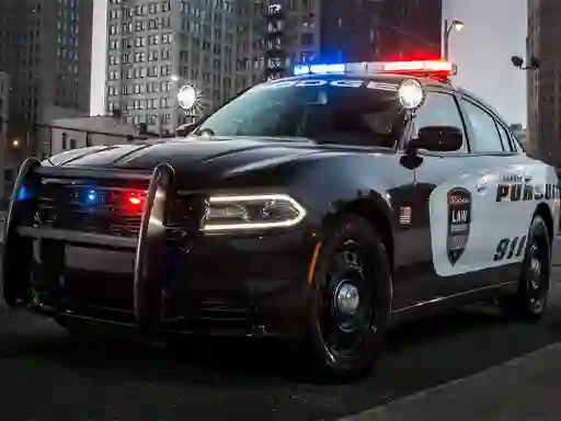 Hra Police Cars Slide online