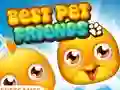 Hra Best Pet Friends online