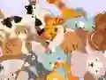 Hra Find The Kitty online