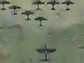 Hra Wings Of Glory online