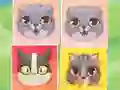 Hra Kitten Match online
