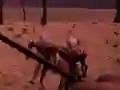 Hra Last Defense online