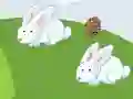 Hra Crazy Eggs online
