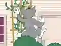 Hra Tom und Jerry: Wasserbomben Wahnsinn online