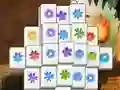 Hra Spring Flower online