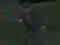 Hra Soviet Sniper online