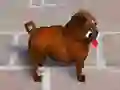 Hra Pugs Rush online