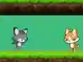 Hra Cat vs Dog online