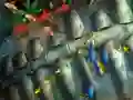 Hra Fishing King online