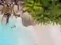Hra Seychelles Beach Jigsaw Puzzle online
