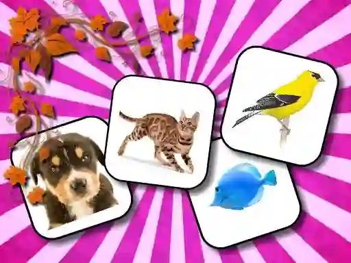 Hra Animals Memory online
