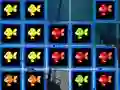 Hra 1010 Fish Blocks online