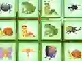 Hra Find The Insect online