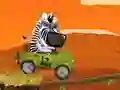 Hra Safari Time online