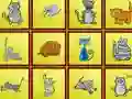 Hra Cats Findiff online