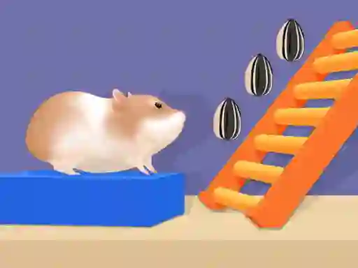 Hra Hamster Stack Maze online