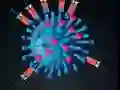 Hra Kill The Coronavirus online