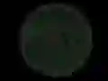 Hra Stickshot 2 online