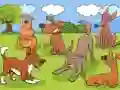 Hra Animals Differences online