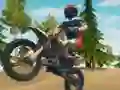 Hra Dirt Bike Enduro Racing online