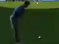 Hra Flash Golf 3D online
