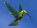 Hra Hummingbird House Escape online