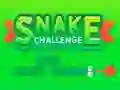 Hra Snake Challenge online