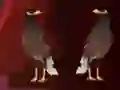 Hra Peikin Duck Escape online