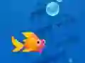 Hra Save the Fishes online