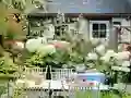 Hra Flower Garden online