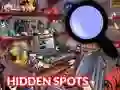 Hra Hidden Spots In The Room online