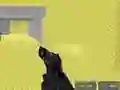 Hra Pixel Combat Multiplayer online